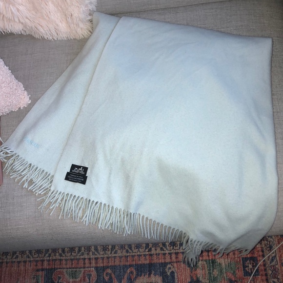 Hermes Other - Hermès Soft Mint Cashmere throw blanket